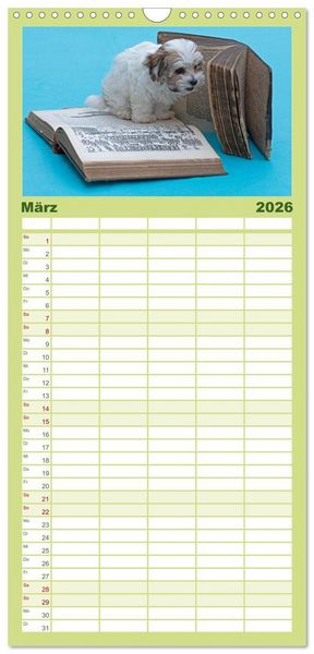 Produktbild: Familienplaner 2026 - Hunde - Beste Freunde der Menschen mit 5 Spalten (Wandkalender, 21 x 45 cm) CALVENDO