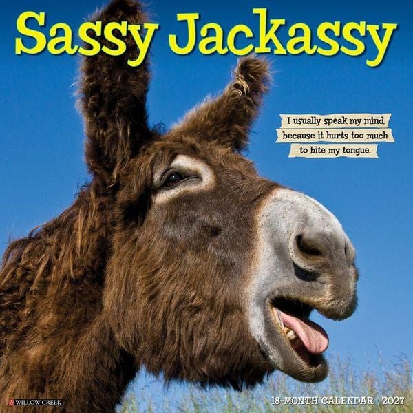 Produktbild: Sassy Jackassy 2027 12 X 12 Wall Calendar