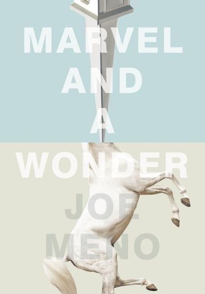 Produktbild: Marvel and a Wonder
