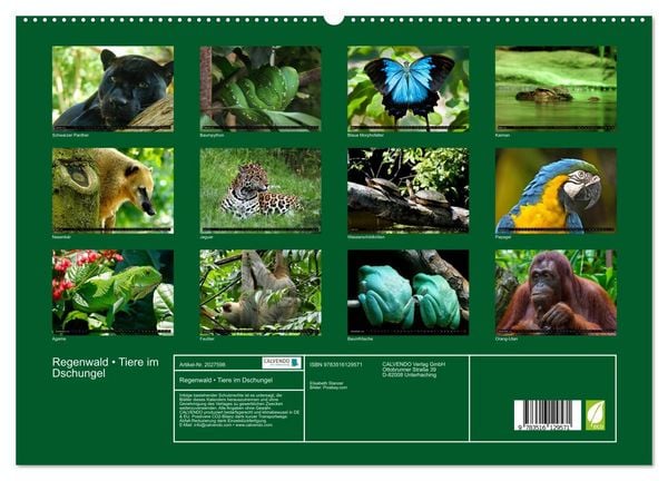 Produktbild: Regenwald &bull; Tiere im Dschungel (hochwertiger Premium Wandkalender 2026 DIN A2 quer), Kunstdruck in Hochglanz