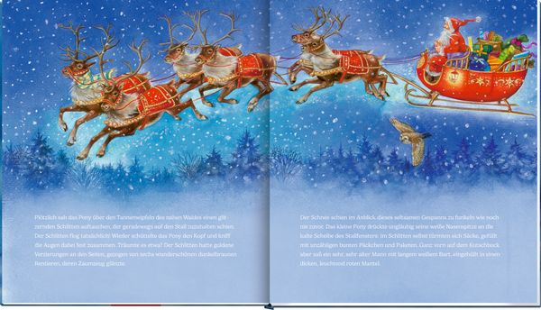 Produktbild: Das Weihnachtspony