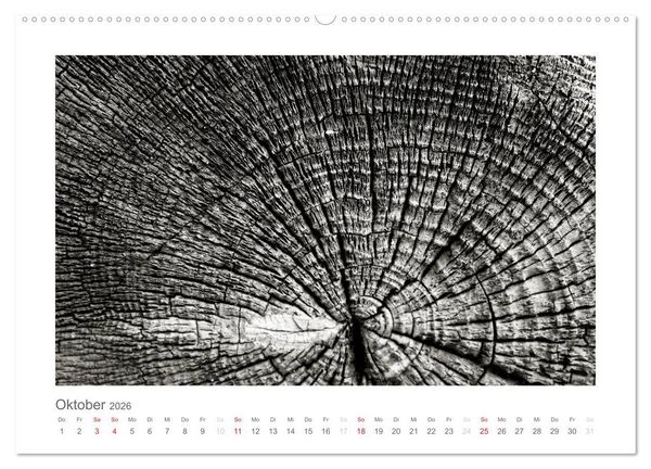 Produktbild: einfach schwarz-wei&szlig; (Wandkalender 2026 DIN A2 quer), CALVENDO Monatskalender