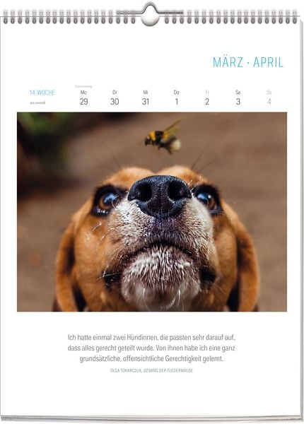 Produktbild: Literarischer Hunde Kalender 2027