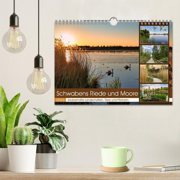 Produktbild: Schwabens Riede und Moore (Wandkalender 2026 DIN A4 quer), CALVENDO Monatskalender