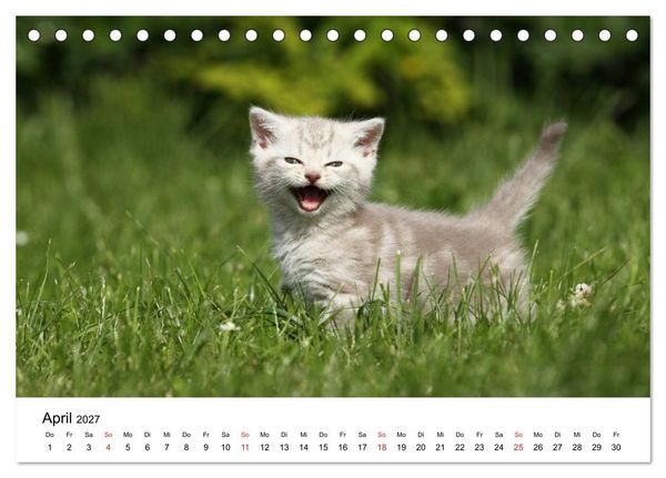 Produktbild: lach mit...just smile (Tischkalender 2027 DIN A5 quer), CALVENDO Monatskalender