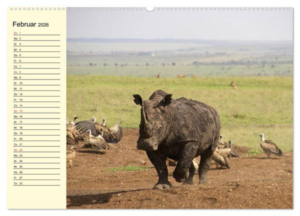 Produktbild: Afrika. Tiere in freier Wildbahn (hochwertiger Premium Wandkalender 2026 DIN A2 quer), Kunstdruck in Hochglanz