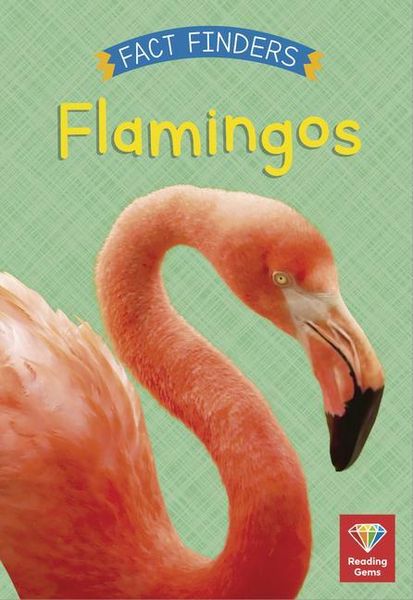 Produktbild: Flamingos