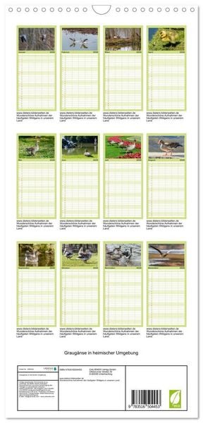 Produktbild: Familienplaner 2026 - Graug&auml;nse in heimischer Umgebung mit 5 Spalten (Wandkalender, 21 x 45 cm) CALVENDO