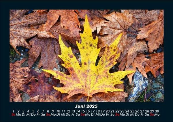 Produktbild: Natur 2025 Fotokalender DIN A5