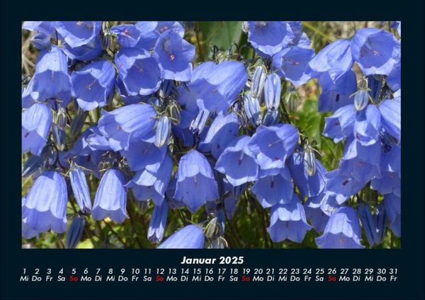 Produktbild: Blumenkalender 2025 Fotokalender DIN A4