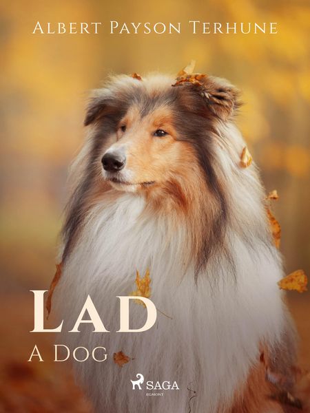 Produktbild: Lad: A Dog