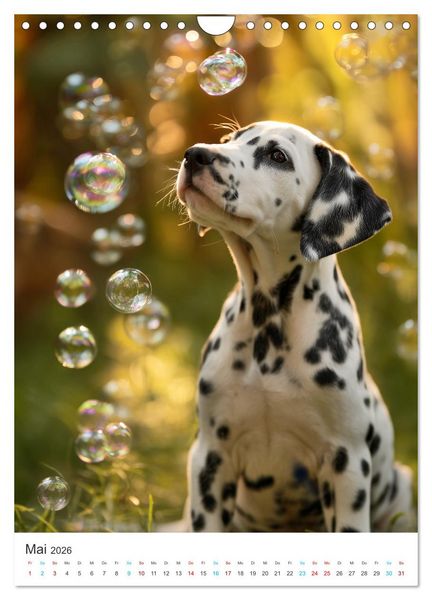 Produktbild: Best Friends Forever (Wandkalender 2026 DIN A4 hoch), CALVENDO Monatskalender