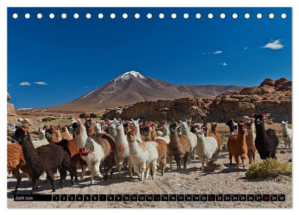 Produktbild: Bolivien Andenlandschaften (Tischkalender 2026 DIN A5 quer), CALVENDO Monatskalender