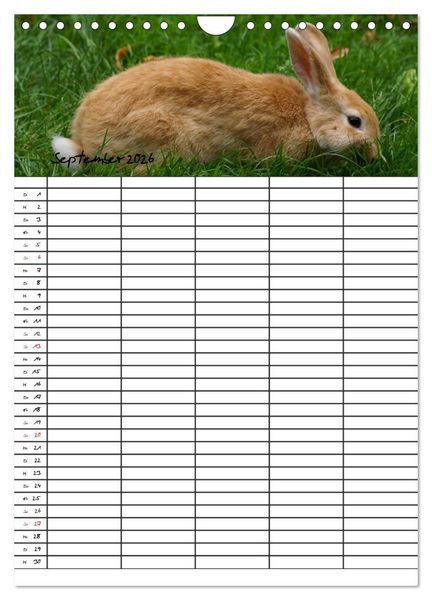 Produktbild: Meerschweinchen und Kaninchen Familienplaner (Wandkalender 2026 DIN A4 hoch), CALVENDO Monatskalender