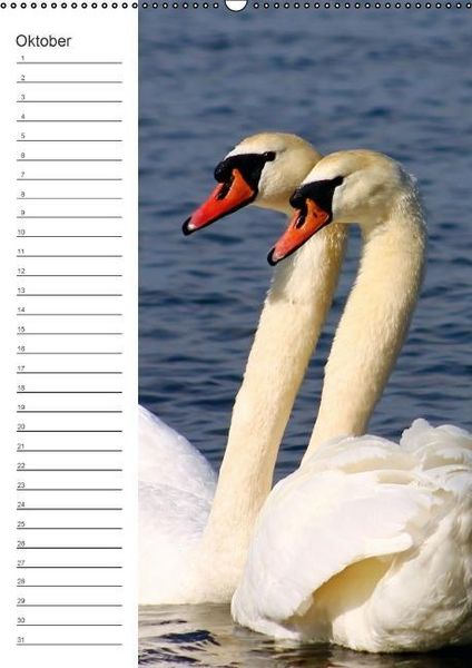 Produktbild: Malerisches Teufelsmoor (Wandkalender immerw&auml;hrend DIN A2 hoch)