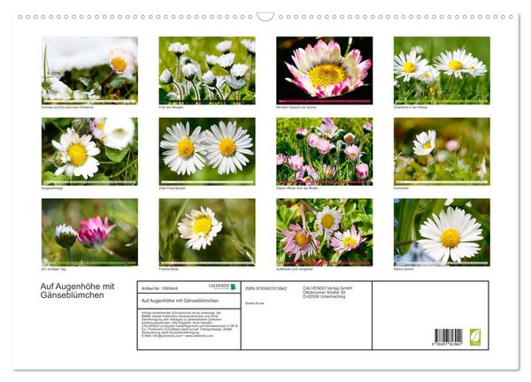 Produktbild: Auf Augenh&ouml;he mit G&auml;nsebl&uuml;mchen (Wandkalender 2026 DIN A2 quer), CALVENDO Monatskalender