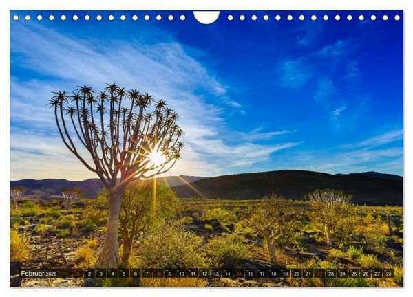 Produktbild: Namibia - Der weite S&uuml;den (Wandkalender 2026 DIN A4 quer), CALVENDO Monatskalender