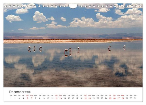 Produktbild: A quick trip to Argentina and Chile (Wall Calendar 2026 DIN A4 landscape), CALVENDO 12 Month Wall Calendar