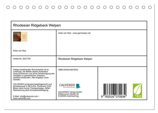 Produktbild: Rhodesian Ridgeback Welpen (Tischkalender 2026 DIN A5 quer), CALVENDO Monatskalender