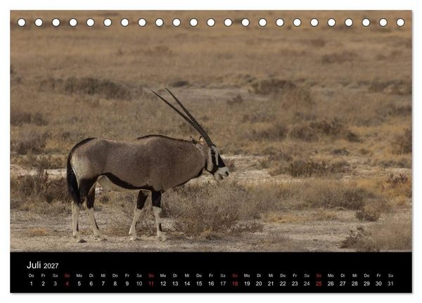 Produktbild: Wundersch&ouml;nes Namibia (Tischkalender 2027 DIN A5 quer), CALVENDO Monatskalender