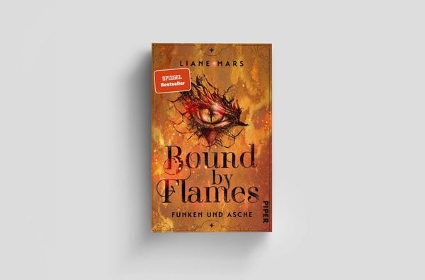 Produktbild: Bound by Flames