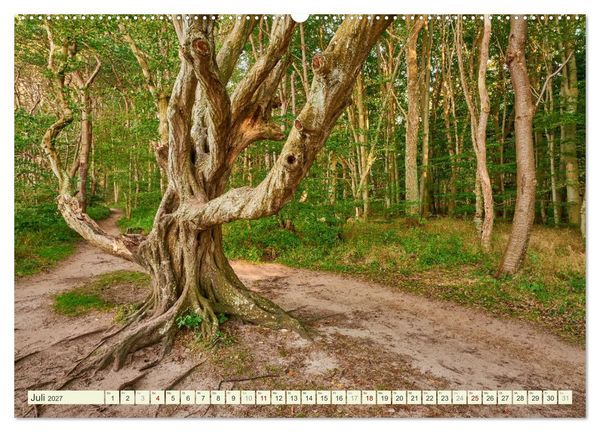 Produktbild: R&uuml;gen - Jasmund Nationalpark (Wandkalender 2027 DIN A2 quer), CALVENDO Monatskalender