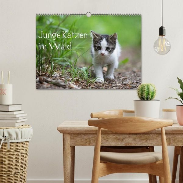 Produktbild: Junge Katzen im Wald (Wandkalender 2026 DIN A3 quer), CALVENDO Monatskalender