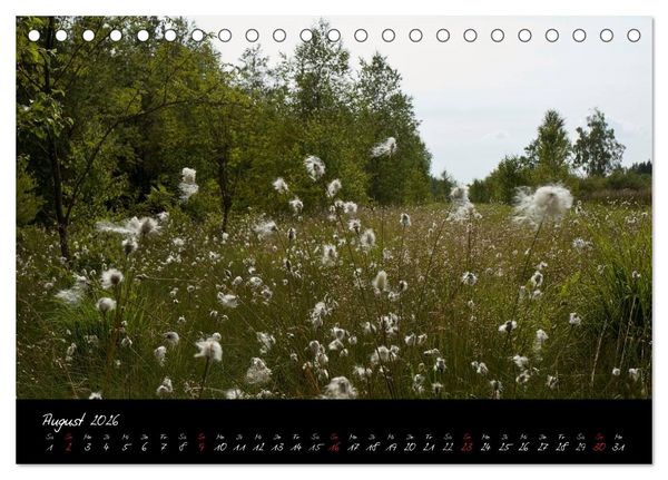 Produktbild: RH&Ouml;N = SCH&Ouml;N (Tischkalender 2026 DIN A5 quer), CALVENDO Monatskalender