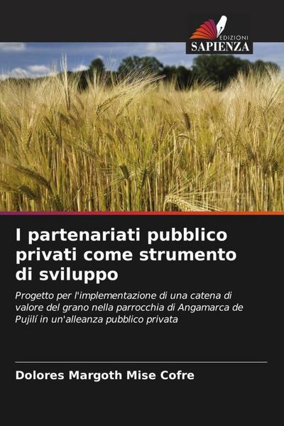 Produktbild: I partenariati pubblico privati come strumento di sviluppo