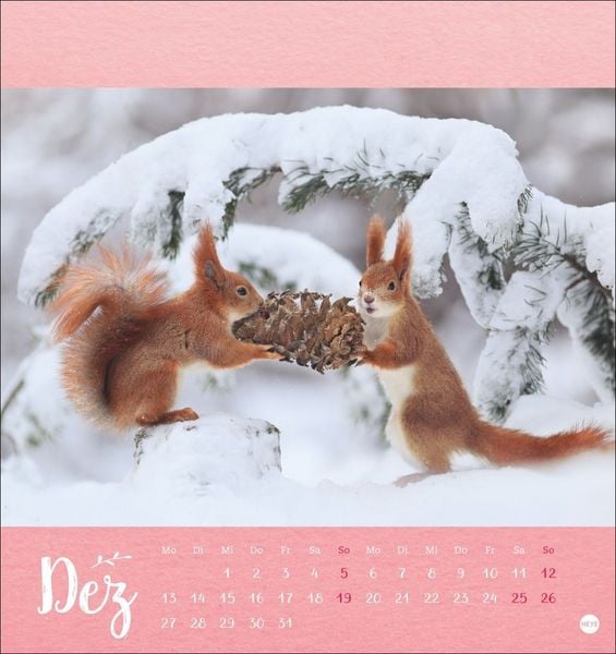 Produktbild: Vadim Trunov: M&auml;rchenhaftes Waldleben Postkartenkalender 2027