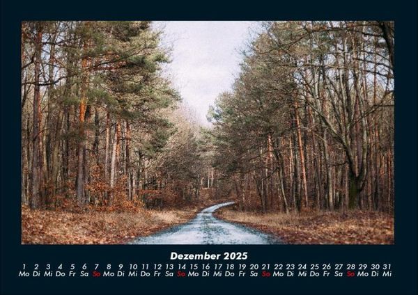 Produktbild: Waldzauber 2025 Fotokalender DIN A4