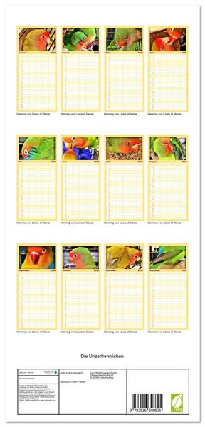 Produktbild: Familienplaner 2026 - Die Unzertrennlichen mit 5 Spalten (Wandkalender, 21 x 45 cm) CALVENDO