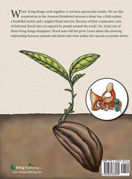 Produktbild: The Rodent, the Bee, and the Brazil Nut Tree