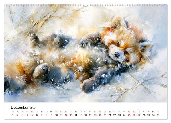 Produktbild: Roter Panda - Tierische Eleganz (Wandkalender 2027 DIN A2 quer), CALVENDO Monatskalender