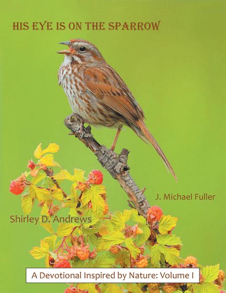 Produktbild: His Eye Is on the Sparrow