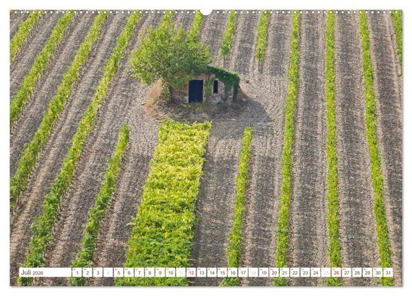 Produktbild: Toskana - Goldene Farben des toskanischen Herbstes (Wandkalender 2026 DIN A2 quer), CALVENDO Monatskalender