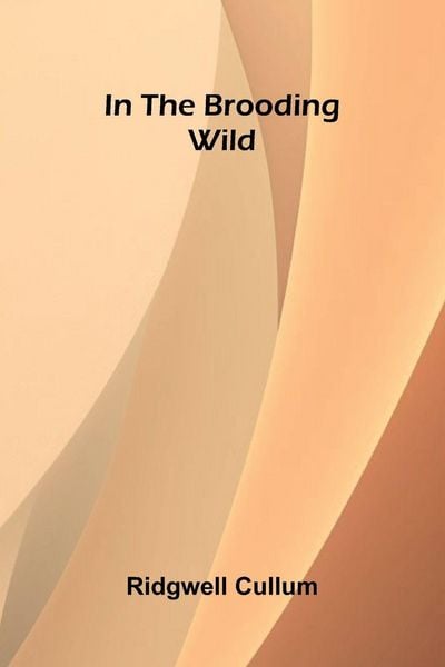 Produktbild: In The Brooding Wild