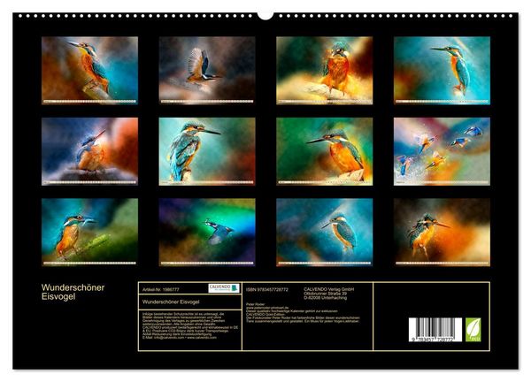 Produktbild: Wundersch&ouml;ner Eisvogel (hochwertiger Premium Wandkalender 2026 DIN A2 quer), Kunstdruck in Hochglanz