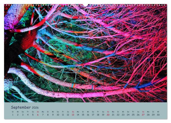 Produktbild: Leuchtfarben (Wandkalender 2026 DIN A2 quer), CALVENDO Monatskalender
