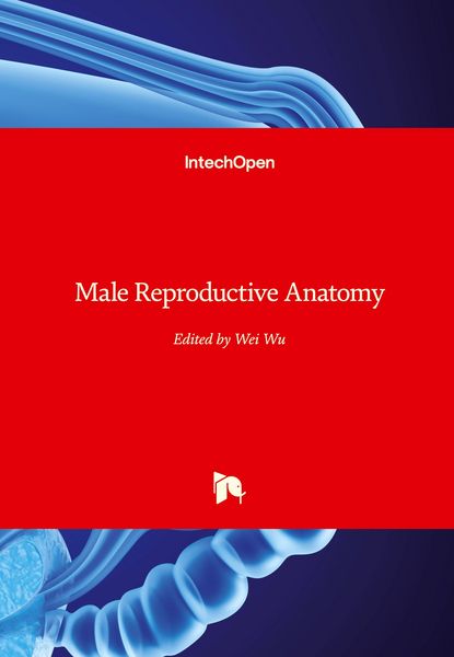 Produktbild: Male Reproductive Anatomy