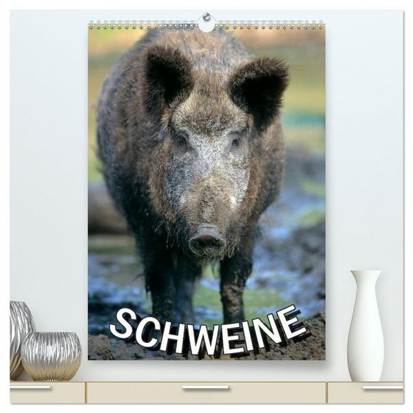 Produktbild: Schweine 2026 (hochwertiger Premium Wandkalender 2026 DIN A2 hoch), Kunstdruck in Hochglanz