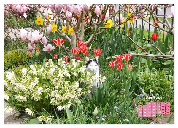 Produktbild: Urlaub im Garten (Wandkalender 2026 DIN A2 quer), CALVENDO Monatskalender