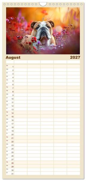 Produktbild: Familienplaner 2027 - Englische Bulldoggen im Bl&uuml;tenmeer mit 5 Spalten (Wandkalender, 21 x 45 cm) CALVENDO