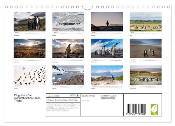 Produktbild: Pinguine - Die sympathischen Frack-Tr&auml;ger (Wandkalender 2026 DIN A4 quer), CALVENDO Monatskalender