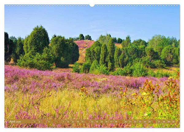Produktbild: L&uuml;neburger Heide - Wanderung rund um Wilsede und Totengrund (Wandkalender 2026 DIN A2 quer), CALVENDO Monatskalender