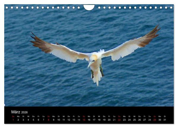 Produktbild: An der Nordsee (Wandkalender 2026 DIN A4 quer), CALVENDO Monatskalender
