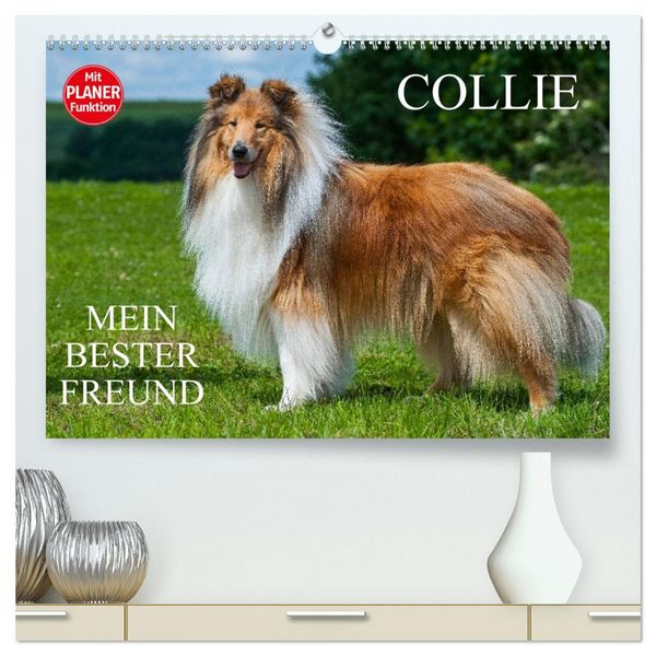 Produktbild: Collie - Mein bester Freund (hochwertiger Premium Wandkalender 2026 DIN A2 quer), Kunstdruck in Hochglanz
