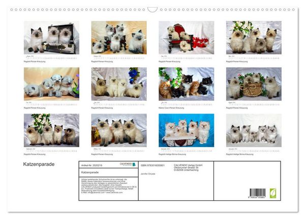 Produktbild: Katzenparade (Wandkalender 2026 DIN A2 quer), CALVENDO Monatskalender