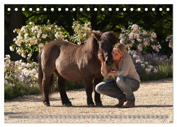 Produktbild: Natural Horsemanship - Partnerschaft mit Pferden (Tischkalender 2026 DIN A5 quer), CALVENDO Monatskalender