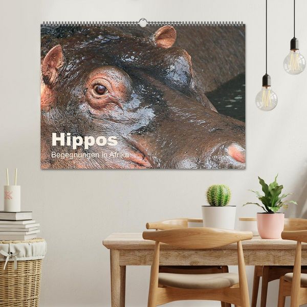 Produktbild: Hippos - Begegnungen in Afrika (Wandkalender 2026 DIN A2 quer), CALVENDO Monatskalender
